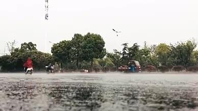 4K实拍夏季暴雨街道车流视频的预览图